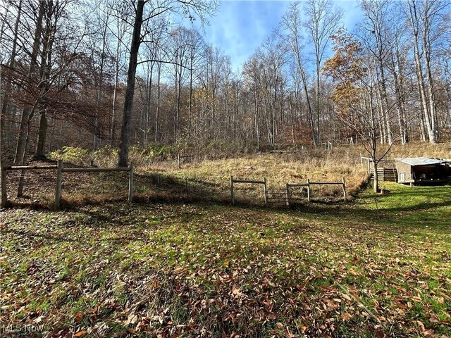 2886 Ossia Rd, Duck, WV 25063 - view of yard