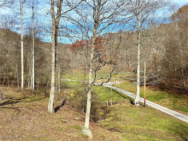 view of local wilderness