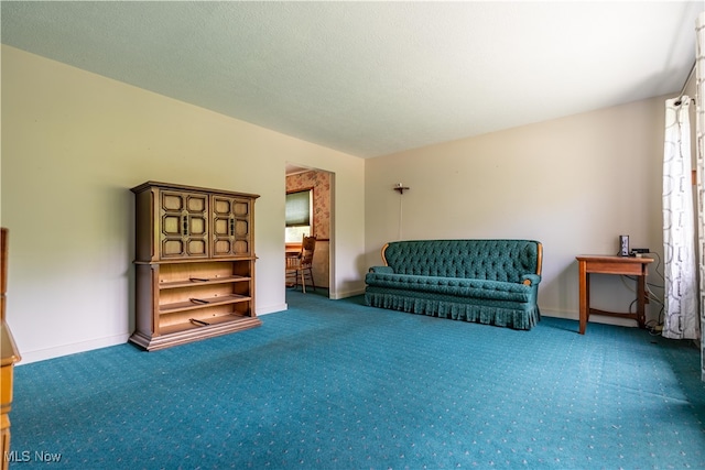 living area featuring a textured ceiling and carpet