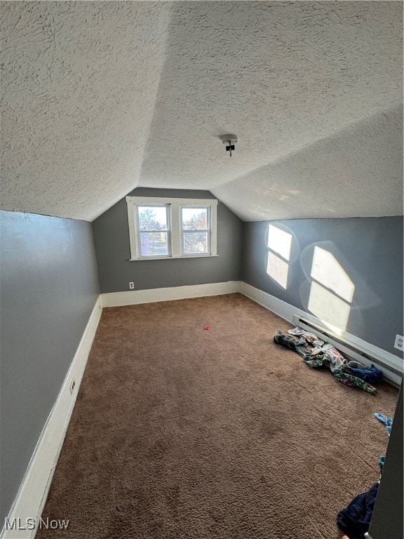 additional living space with carpet floors, a textured ceiling, and vaulted ceiling