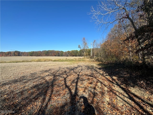 Spieth Rd, Medina, OH 44256 - photo 8