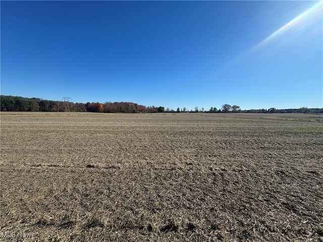 Spieth Rd, Medina, OH 44256 - photo 15
