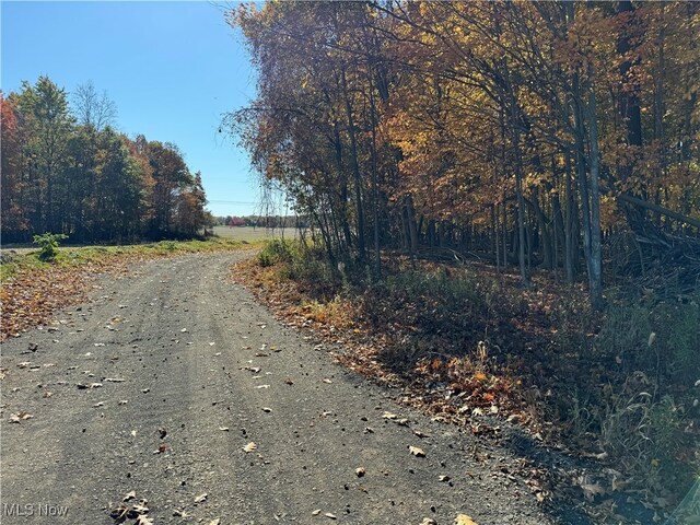 Spieth Rd, Medina, OH 44256 - photo 32