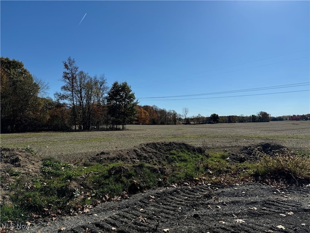 Spieth Rd, Medina, OH 44256 - photo 35
