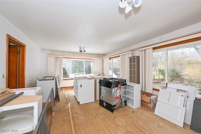 kitchen with light colored carpet and white cabinetry