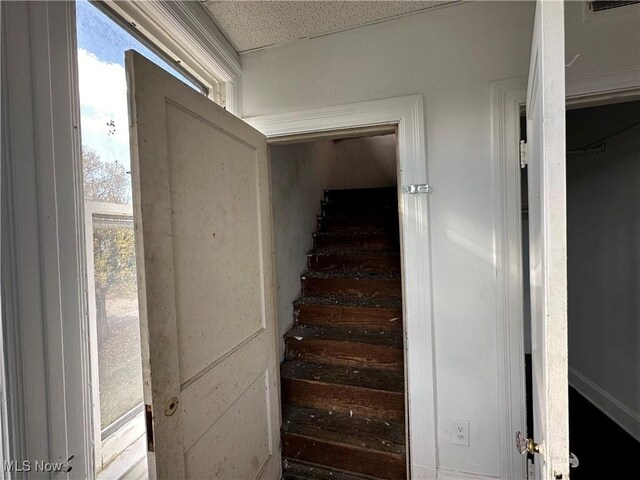 1329 Avery St, Parkersburg, WV 26101 - photo 13