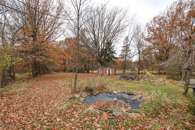 view of yard featuring a storage shed