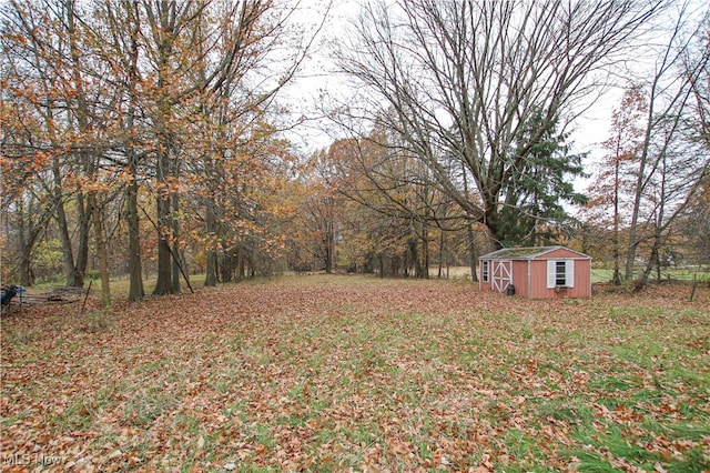 view of yard featuring a storage shed