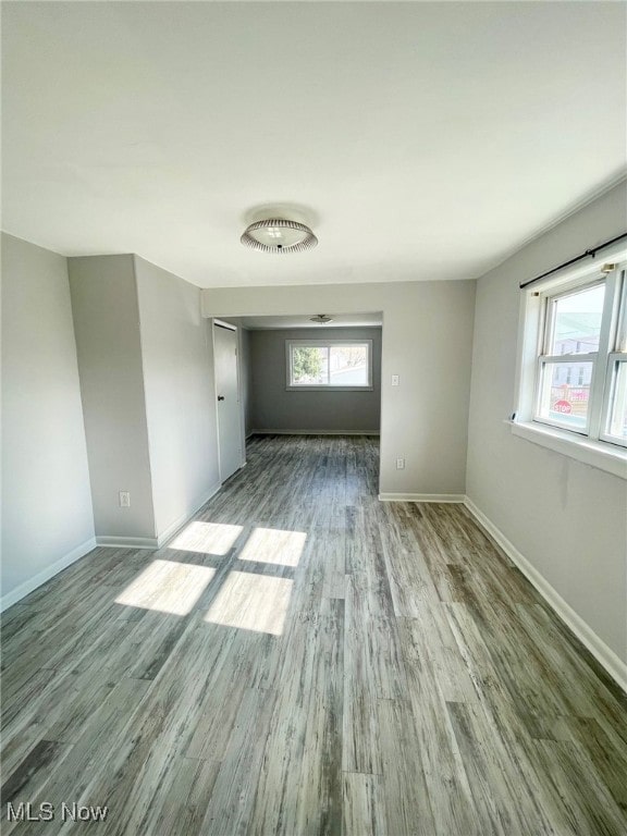 empty room featuring a wealth of natural light and light hardwood / wood-style flooring