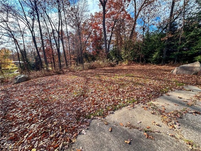 448 Woodland St, Ravenna, OH 44266 - photo 49