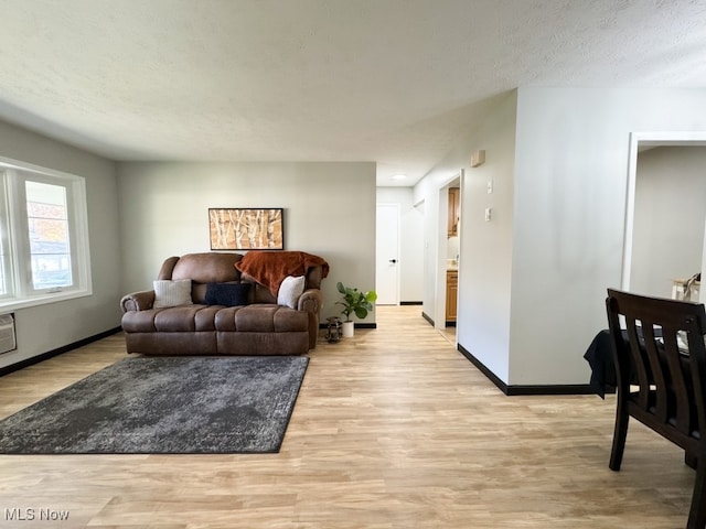 living room with a textured ceiling and light hardwood / wood-style flooring