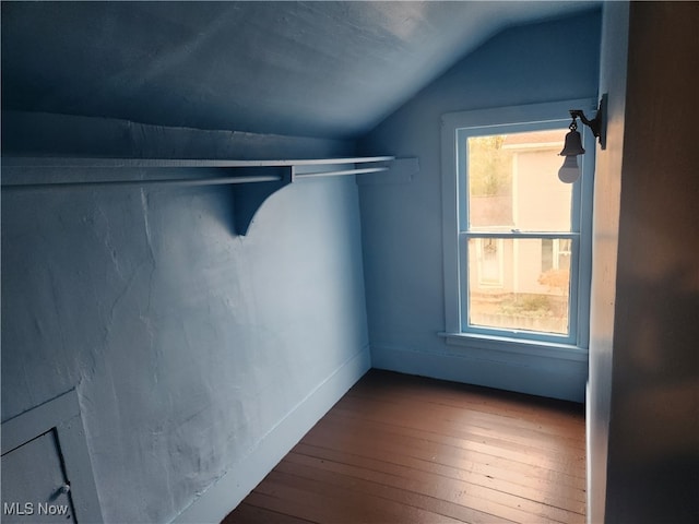 walk in closet with vaulted ceiling and wood-type flooring