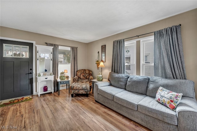 living room featuring hardwood / wood-style flooring