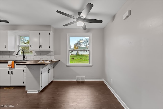 kitchen with white cabinets, a healthy amount of sunlight, and backsplash