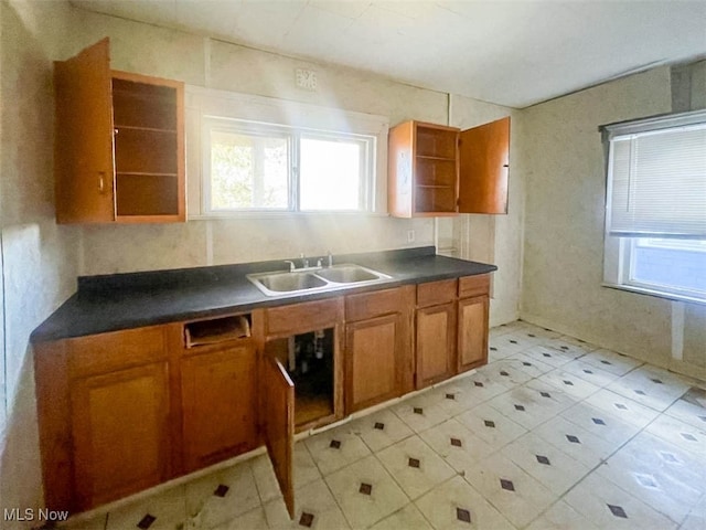 kitchen featuring sink