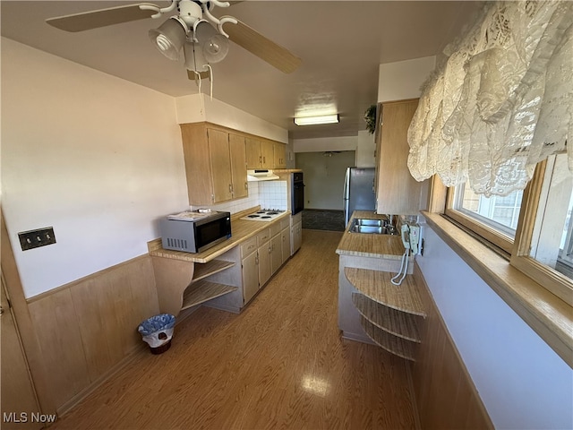 kitchen featuring stainless steel appliances, backsplash, sink, light hardwood / wood-style floors, and ceiling fan