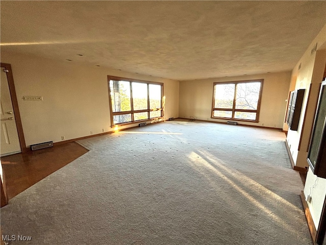 carpeted spare room featuring a textured ceiling and plenty of natural light