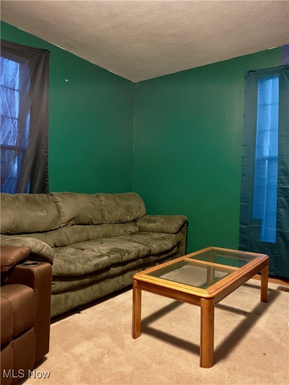 living room with a textured ceiling and carpet floors