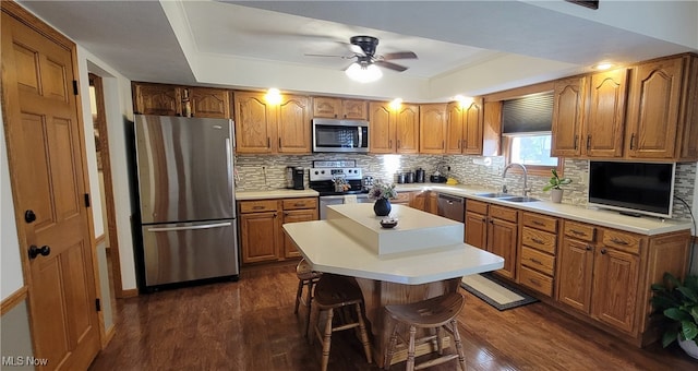 kitchen with a raised ceiling, dark wood-type flooring, sink, and stainless steel appliances