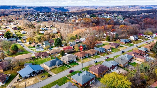 drone / aerial view