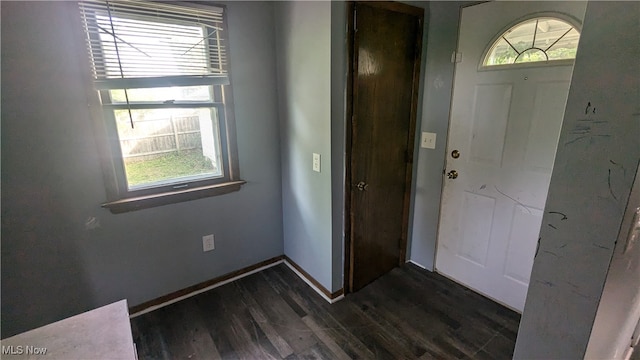 entryway featuring dark hardwood / wood-style flooring