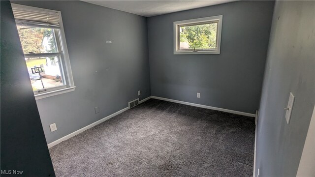 carpeted empty room with plenty of natural light