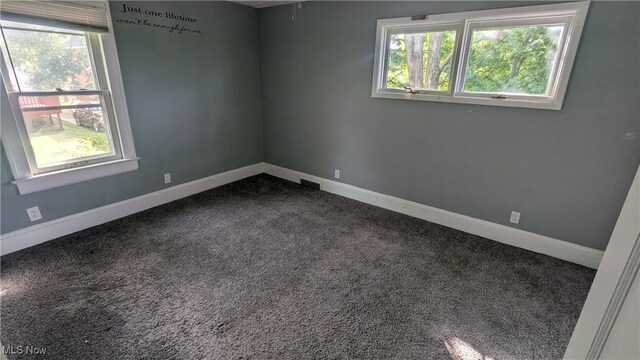 carpeted spare room with plenty of natural light