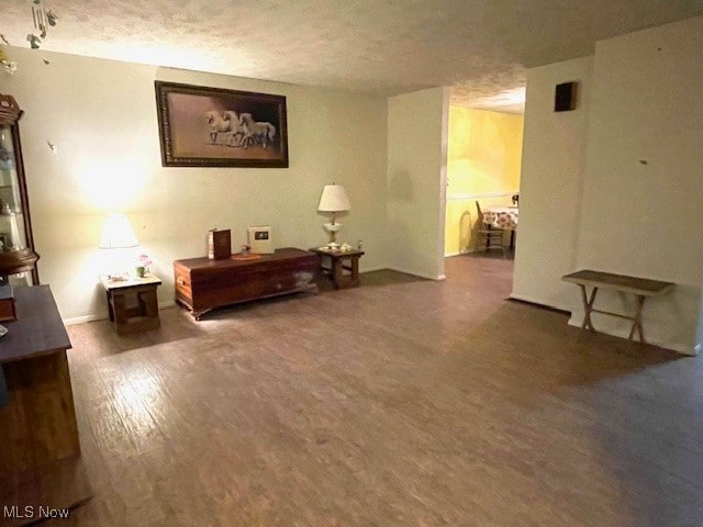 living area featuring wood-type flooring and a textured ceiling