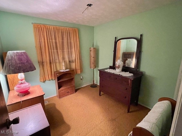 interior space featuring carpet flooring and a textured ceiling