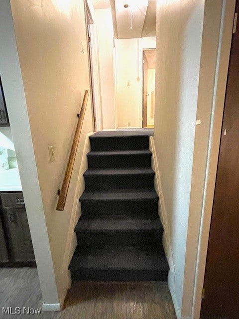 stairway with hardwood / wood-style floors