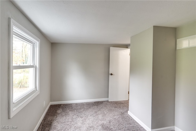 empty room featuring carpet