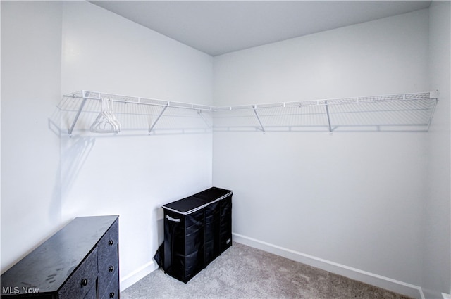 spacious closet with carpet flooring