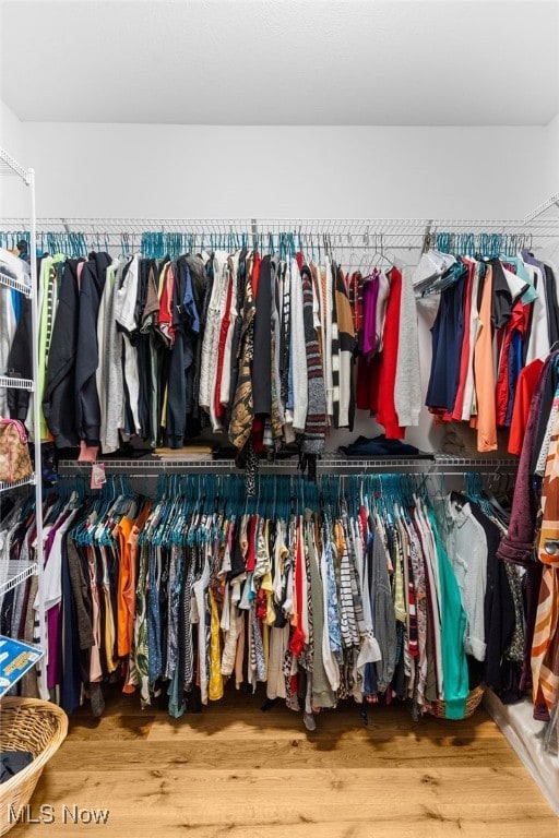 spacious closet featuring wood-type flooring