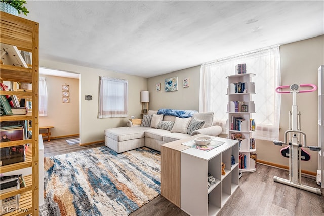 living room featuring wood-type flooring