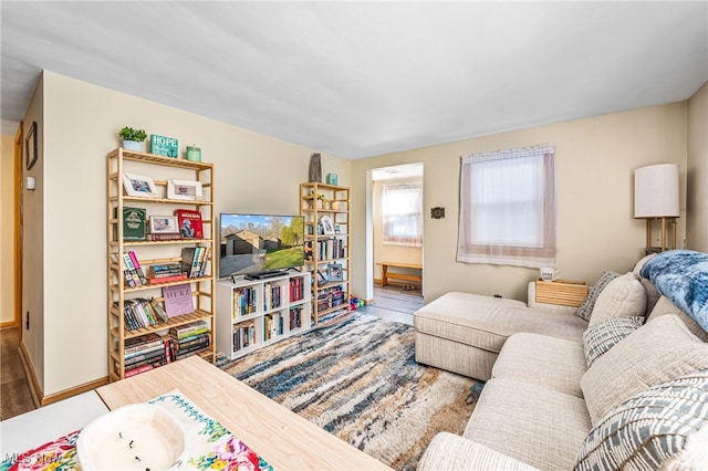 living room with hardwood / wood-style floors