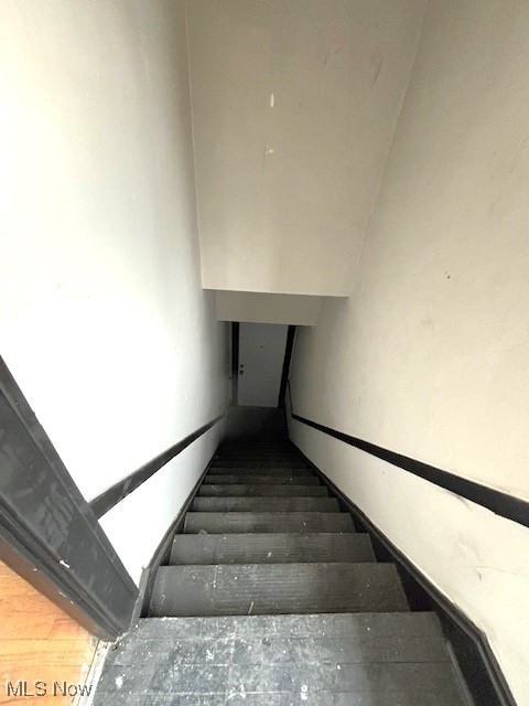 stairs with hardwood / wood-style flooring