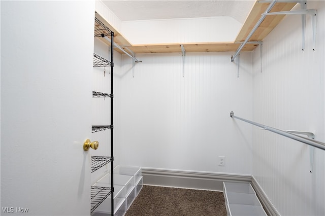 spacious closet featuring carpet floors