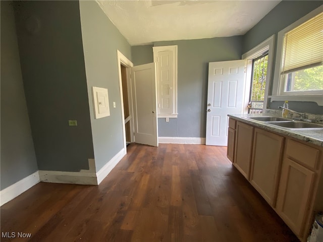 kitchen with sink, light brown cabinetry, and dark hardwood / wood-style flooring