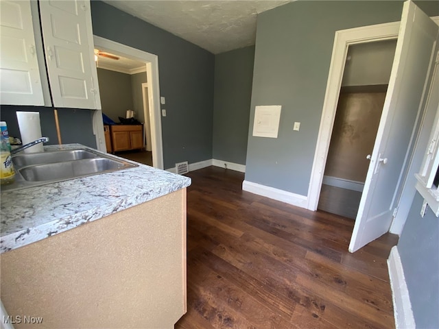 kitchen with dark hardwood / wood-style flooring and sink