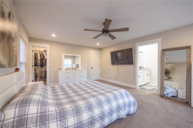 carpeted bedroom featuring a closet, ceiling fan, and a walk in closet