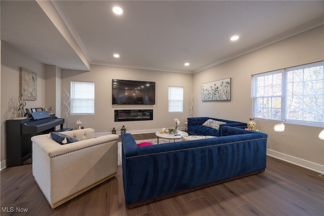 living room with dark wood-type flooring, crown molding, and a healthy amount of sunlight