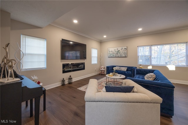 living room featuring dark hardwood / wood-style flooring and crown molding