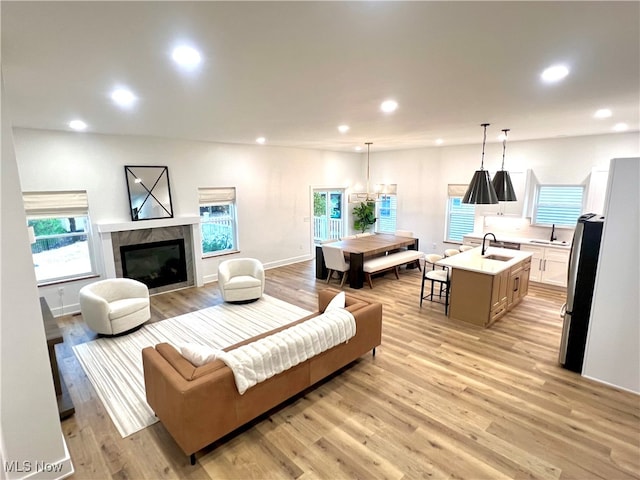 living room featuring light hardwood / wood-style flooring and sink