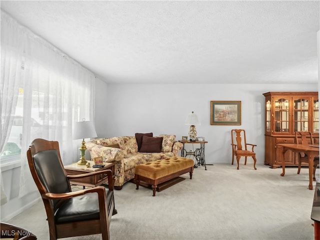 living room featuring a textured ceiling and light carpet