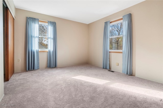 empty room with carpet flooring and a healthy amount of sunlight