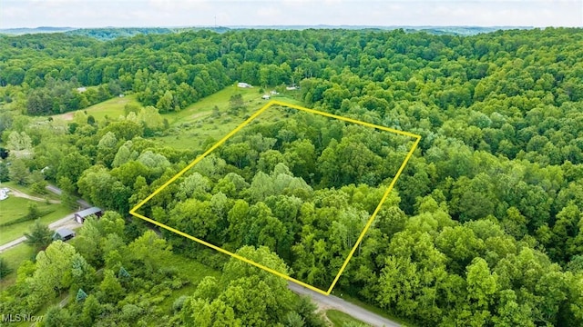 16182 Gunn Rd, Lore City, OH 43755 - photo 8