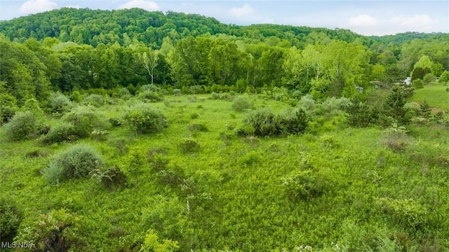 16182 Gunn Rd, Lore City, OH 43755 - photo 20