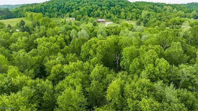 16182 Gunn Rd, Lore City, OH 43755 - photo 21