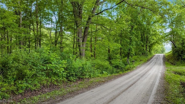16182 Gunn Rd, Lore City, OH 43755 - photo 23
