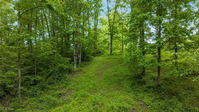 16182 Gunn Rd, Lore City, OH 43755 - photo 15